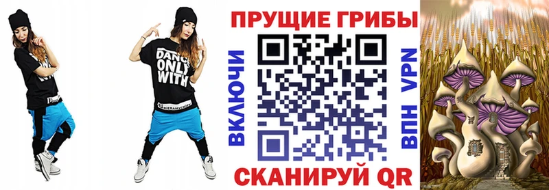 Псилоцибиновые грибы мицелий закладка Заводоуковск